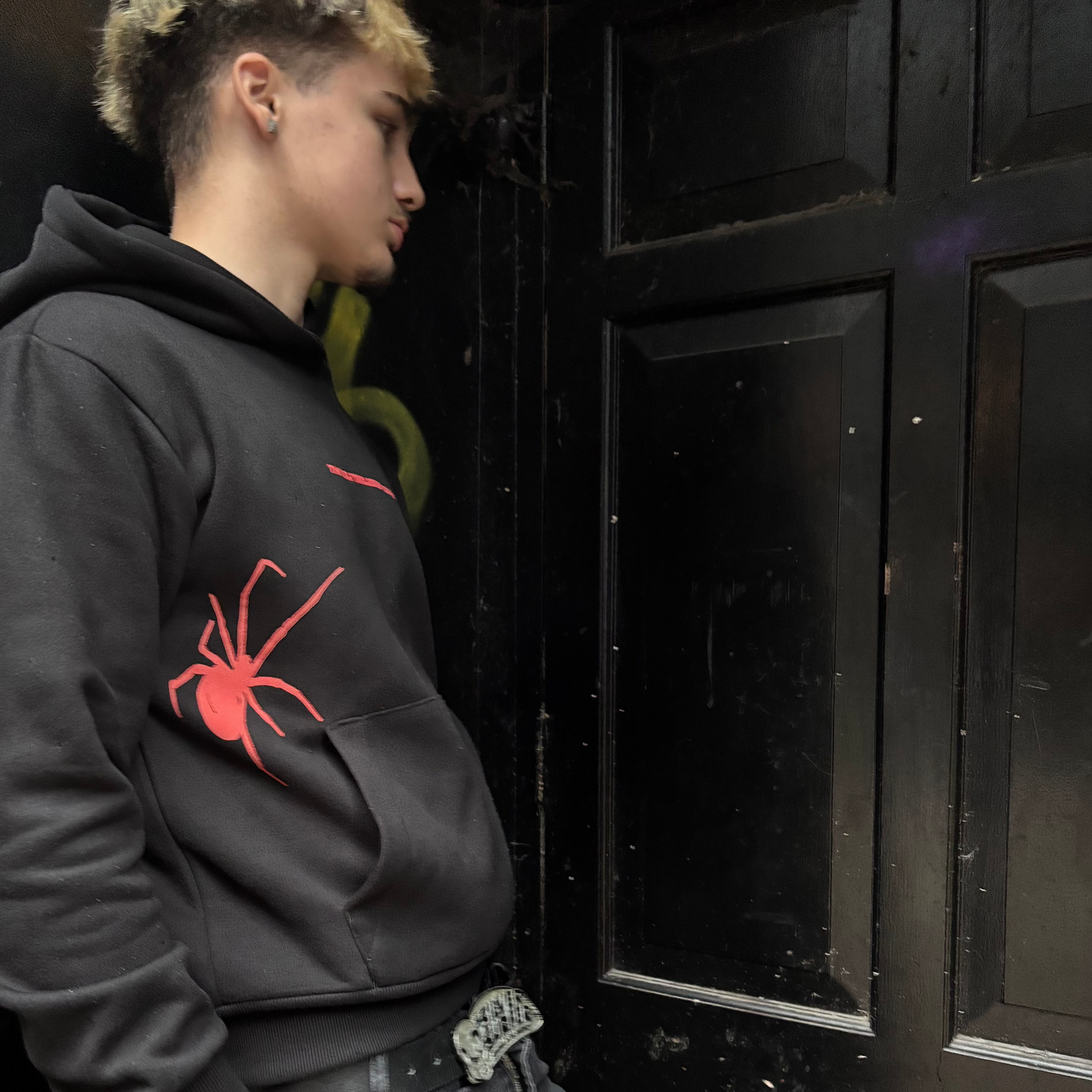 Spider Puff Print Hoodie