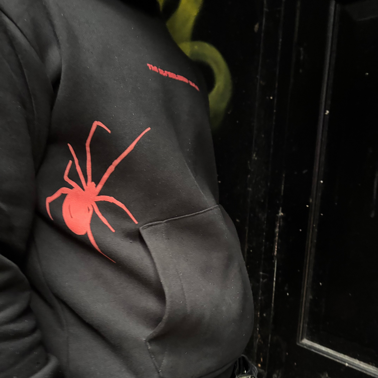 Spider Puff Print Hoodie